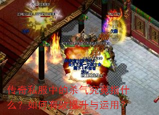 ����˽���е�ɱ������ָʲô�������Ч���������ã�