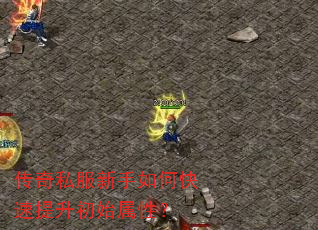 传奇私服新手如何快速提升初始属性? 传奇私服新手如何快速提升初始属性?
