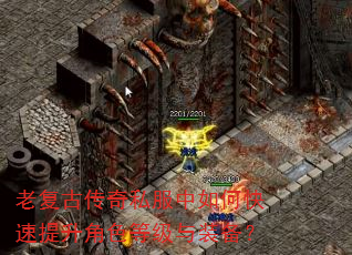 老复古传奇私服中如何快速提升角色等级与装备? 老复古传奇私服中如何快速提升角色等级与装备?
