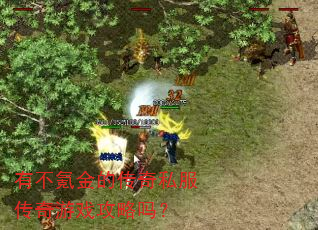 有不氪金的传奇私服传奇游戏攻略吗? 有不氪金的传奇私服传奇游戏攻略吗?