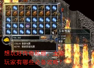 想玩好传奇私服,土豪玩家有哪些必备攻略? 想玩好传奇私服,土豪玩家有哪些必备攻略?