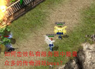 如何击败私有服务器中数量众多的传奇游戏boss? 如何击败私有服务器中数量众多的传奇游戏boss?