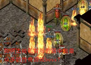 如何击败私有服务器中数量众多的传奇游戏boss? 如何击败私有服务器中数量众多的传奇游戏boss?