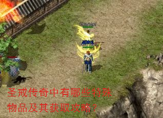 ʥ�䴫��������Щ������Ʒ�����ȡ���ԣ�