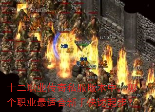 十二职业传奇私服版本中,哪个职业最适合新手快速起步? 十二职业传奇私服版本中,哪个职业最适合新手快速起步?