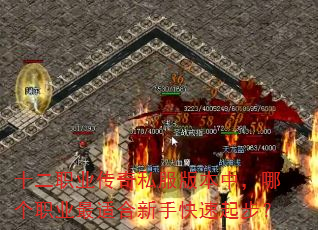十二职业传奇私服版本中,哪个职业最适合新手快速起步? 十二职业传奇私服版本中,哪个职业最适合新手快速起步?