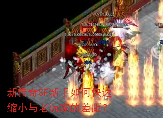 新传奇SF新手如何快速缩小与老玩家的差距? 新传奇SF新手如何快速缩小与老玩家的差距?