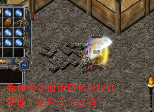 新魔界热血传奇私服现在还能正常登录游戏吗? 新魔界热血传奇私服现在还能正常登录游戏吗?