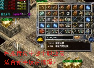 私服传奇中哪个职业最适合新手玩家选择? 私服传奇中哪个职业最适合新手玩家选择?