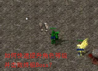 如何快速提升角色等级并击败终极Boss? 如何快速提升角色等级并击败终极Boss?