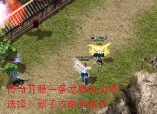 传奇开服一条龙服务如何选择?新手攻略全解析 传奇开服一条龙服务如何选择?新手攻略全解析