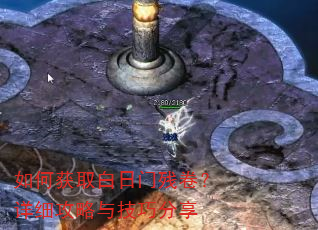 ��λ�ȡ�����Ųо�����ϸ�����뼼�ɷ���