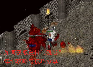 ��λ�ȡ�����Ųо�����ϸ�����뼼�ɷ���