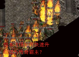 我本飞扬如何快速升级成为传奇霸主? 我本飞扬如何快速升级成为传奇霸主?
