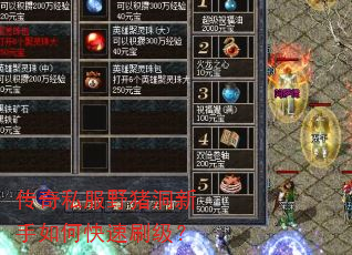 传奇私服野猪洞新手如何快速刷级? 传奇私服野猪洞新手如何快速刷级?