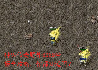 神鬼传奇野外BOSS坐标全攻略,你都知道吗? 神鬼传奇野外BOSS坐标全攻略,你都知道吗?