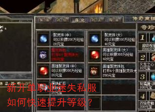 新开单职业迷失私服如何快速提升等级? 新开单职业迷失私服如何快速提升等级?