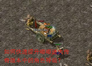 如何快速提升嘟嘟迷失传奇版本中的角色等级? 如何快速提升嘟嘟迷失传奇版本中的角色等级?
