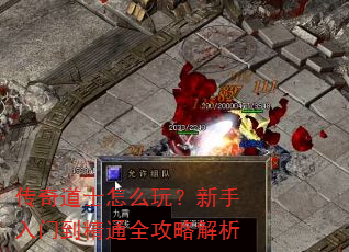 传奇道士怎么玩?新手入门到精通全攻略解析 传奇道士怎么玩?新手入门到精通全攻略解析