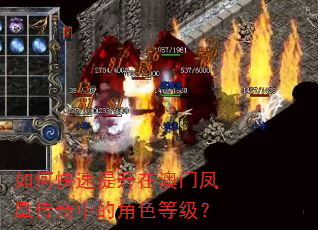 如何快速提升在澳门凤凰传奇中的角色等级? 如何快速提升在澳门凤凰传奇中的角色等级?
