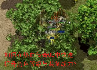 �������Ѫ����OL�п���������ɫ�ȼ���װ��ս����