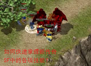 如何快速掌握新传奇SF中的各项技能? 如何快速掌握新传奇SF中的各项技能?