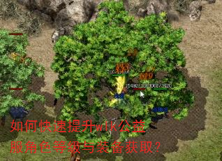 如何快速提升wlk公益服角色等级与装备获取? 如何快速提升wlk公益服角色等级与装备获取?