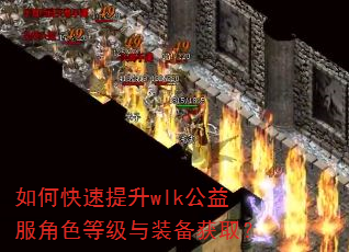 如何快速提升wlk公益服角色等级与装备获取? 如何快速提升wlk公益服角色等级与装备获取?