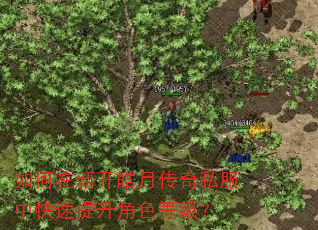 如何在新开皓月传奇私服中快速提升角色等级? 如何在新开皓月传奇私服中快速提升角色等级?