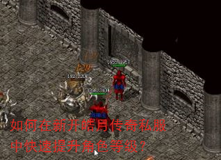 如何在新开皓月传奇私服中快速提升角色等级? 如何在新开皓月传奇私服中快速提升角色等级?