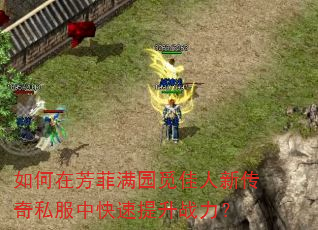 如何在芳菲满园觅佳人新传奇私服中快速提升战力? 如何在芳菲满园觅佳人新传奇私服中快速提升战力?
