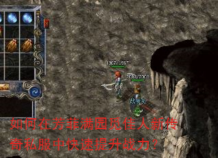 如何在芳菲满园觅佳人新传奇私服中快速提升战力? 如何在芳菲满园觅佳人新传奇私服中快速提升战力?