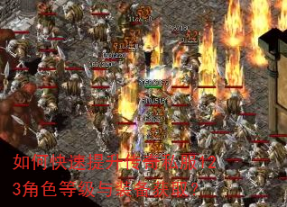 如何快速提升传奇私服123角色等级与装备获取? 如何快速提升传奇私服123角色等级与装备获取?