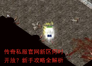 传奇私服官网新区何时开放?新手攻略全解析 传奇私服官网新区何时开放?新手攻略全解析