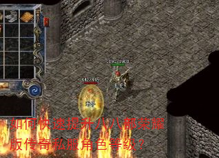 如何快速提升八八部荣耀版传奇私服角色等级? 如何快速提升八八部荣耀版传奇私服角色等级?