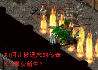 ����ñ������Ĵ���NPC�ػ�������