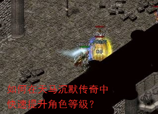 如何在天马沉默传奇中快速提升角色等级? 如何在天马沉默传奇中快速提升角色等级?