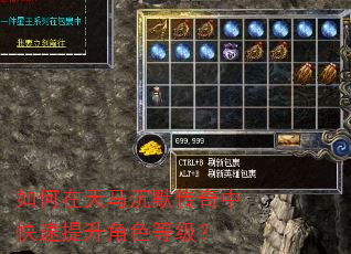 如何在天马沉默传奇中快速提升角色等级? 如何在天马沉默传奇中快速提升角色等级?