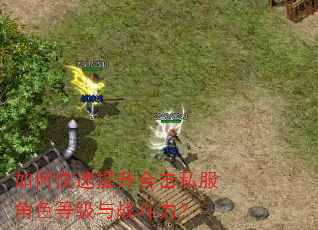如何快速提升合击私服角色等级与战斗力? 如何快速提升合击私服角色等级与战斗力?