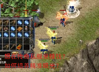 ���ڴ���˽����׬Ǯ�����������׼�۹⣿