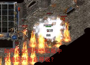 如何在武易传奇私服中快速提升角色等级? 如何在武易传奇私服中快速提升角色等级?