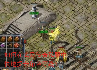 如何在武易传奇私服中快速提升角色等级? 如何在武易传奇私服中快速提升角色等级?