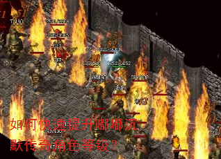 如何快速提升嘟嘟沉默传奇角色等级? 如何快速提升嘟嘟沉默传奇角色等级?