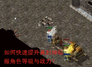 如何快速提升真封神私服角色等级与战力? 如何快速提升真封神私服角色等级与战力?
