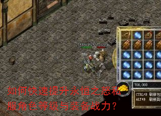 如何快速提升永恒之怒私服角色等级与装备战力? 如何快速提升永恒之怒私服角色等级与装备战力?