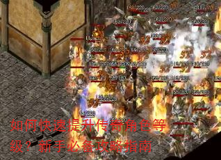 如何快速提升传奇角色等级?新手必备攻略指南 如何快速提升传奇角色等级?新手必备攻略指南