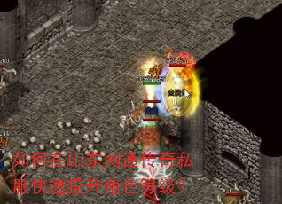 如何在山东网通传奇私服快速提升角色等级? 如何在山东网通传奇私服快速提升角色等级?