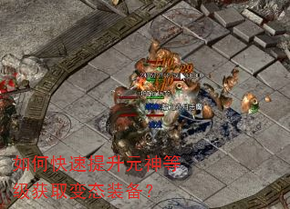 如何快速提升元神等级获取变态装备? 如何快速提升元神等级获取变态装备?