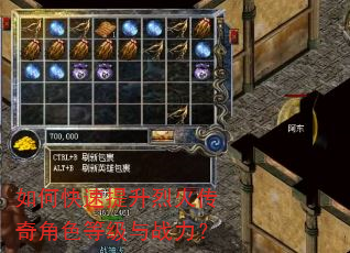 如何快速提升烈火传奇角色等级与战力? 如何快速提升烈火传奇角色等级与战力?