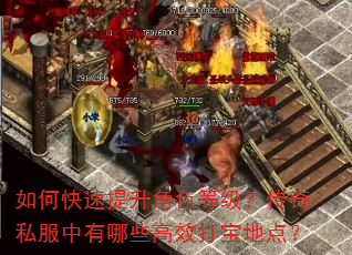 如何快速提升角色等级?传奇私服中有哪些高效打宝地点? 如何快速提升角色等级?传奇私服中有哪些高效打宝地点?
